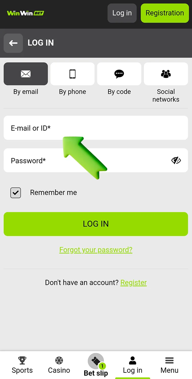 Provide your account credentials on the WinWin site.